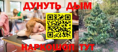 гашик Берёзовский