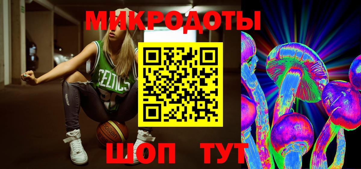 Псилоцибиновые грибы Psilocybine cubensis Зеленодольск